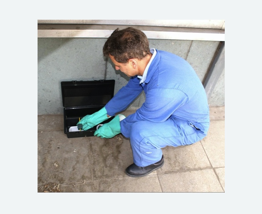 Уничтожение мышей в Полысаево Уничтожение мышей