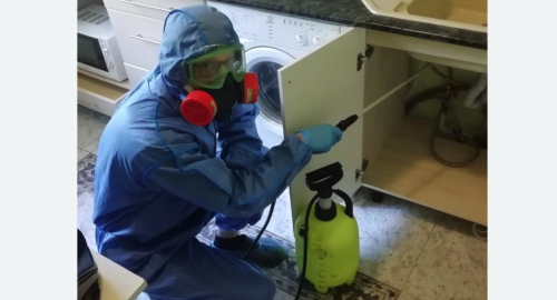 Уничтожение муравьев в квартире. Полысаево