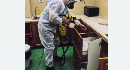 Дезинсекция квартиры. Полысаево