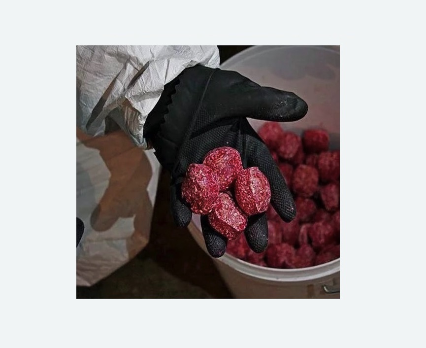 Обработка от крыс в Полысаево