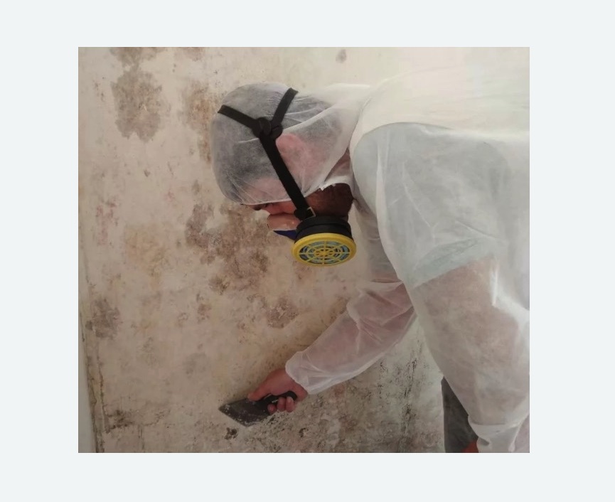 Обработка стен от плесени в Полысаево