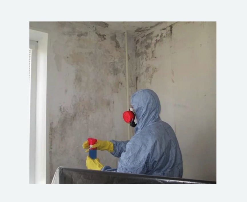 Удаление плесени в квартире в Полысаево