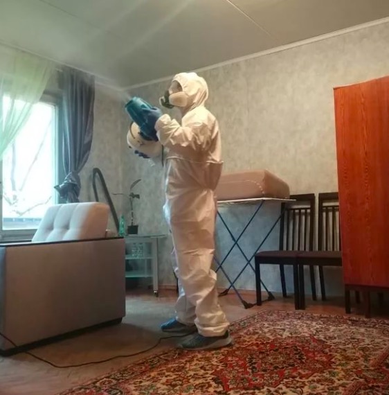 дезинсекция квартиры в Полысаево