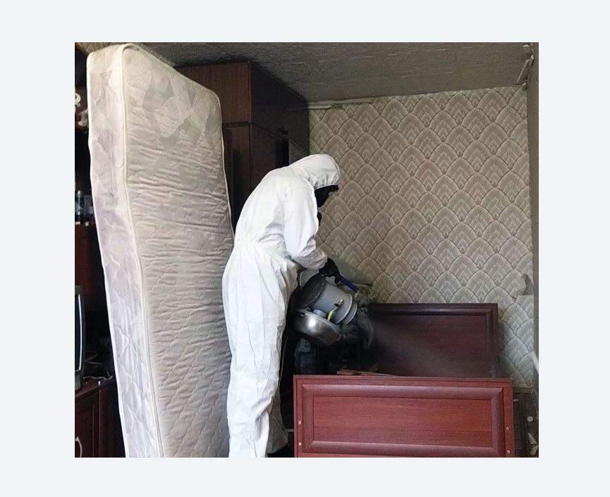 дезинфекция от клопов в Полысаево