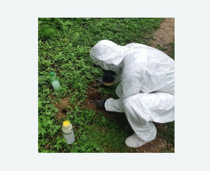 уничтожение кротов на участке в Полысаево