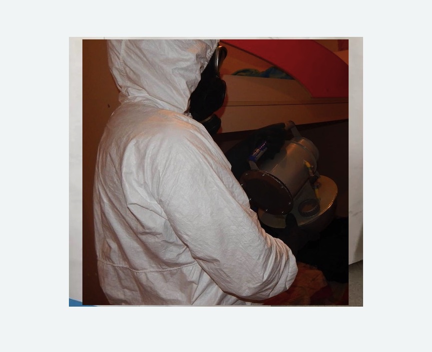 Дезинфекция от муравьев в Полысаево