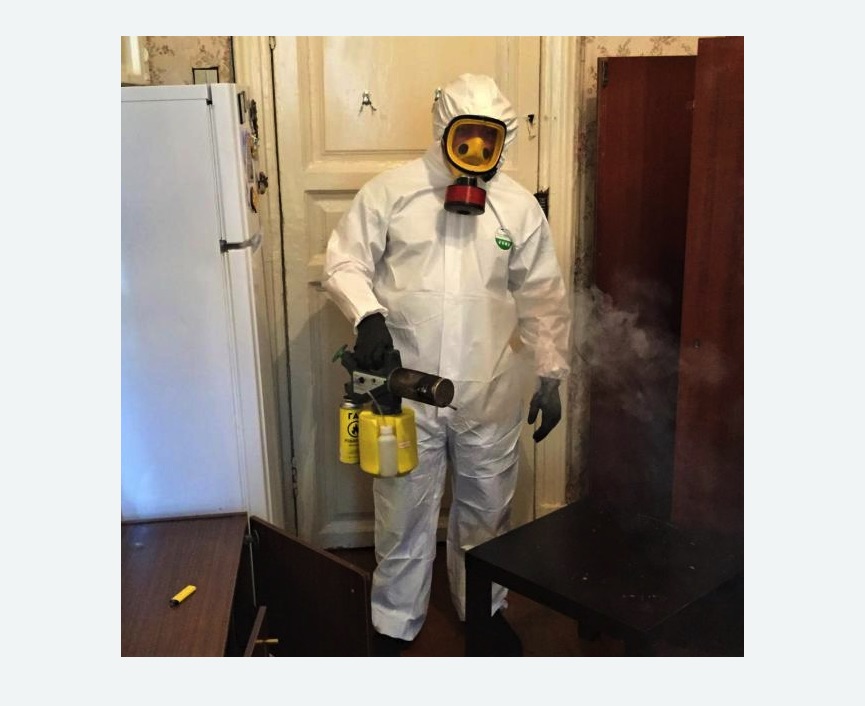 уничтожение муравьев в квартире в Полысаево